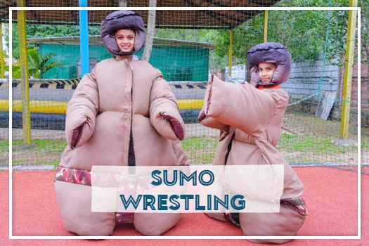 Sumo Wrestling