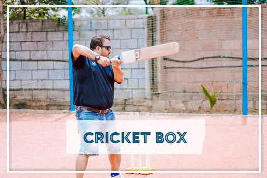 cricket