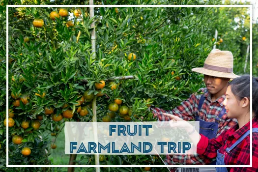 fruit farmland trip